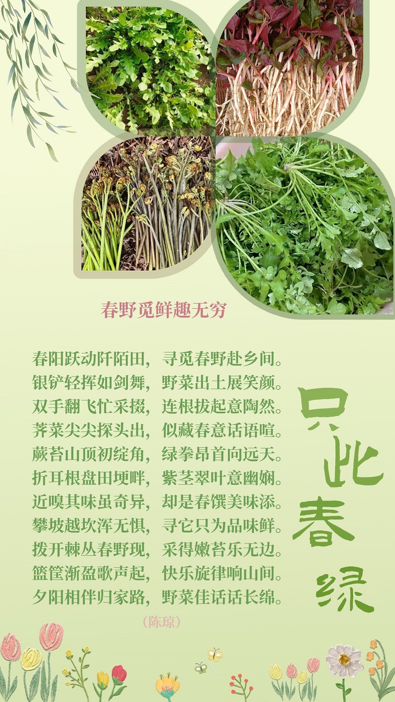 春野觅鲜趣无穷