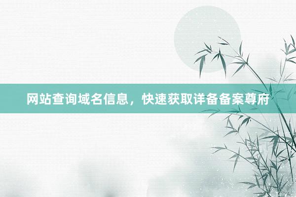 网站查询域名信息，快速获取详备备案尊府